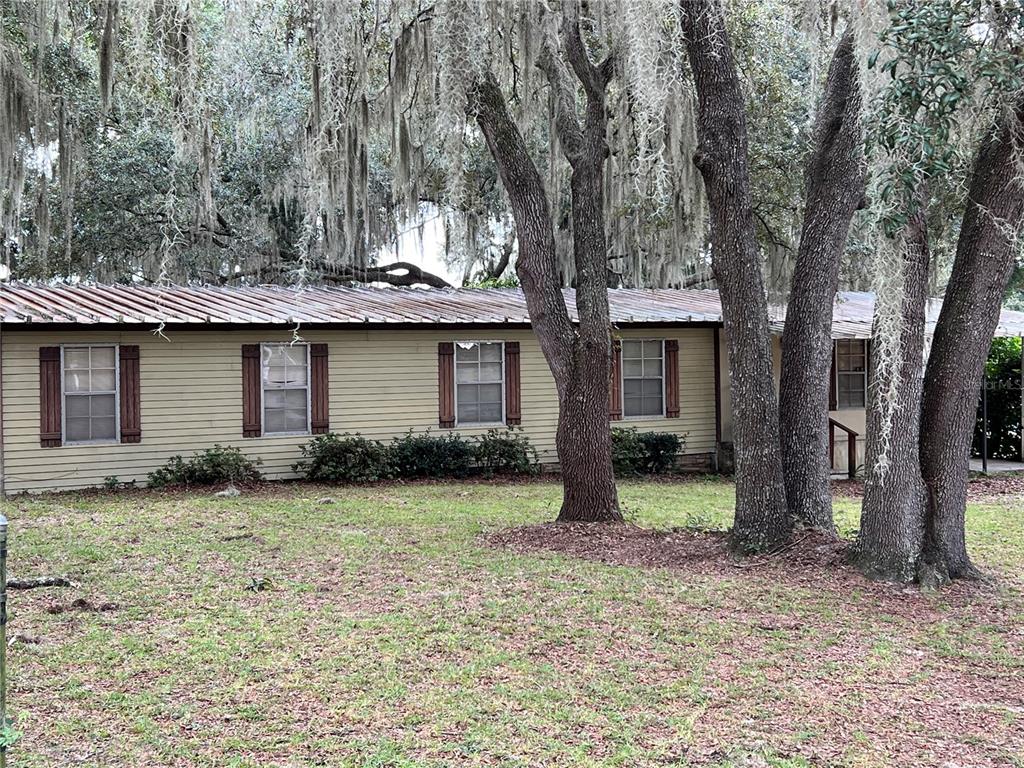 a view of a house with a large tree and a yard