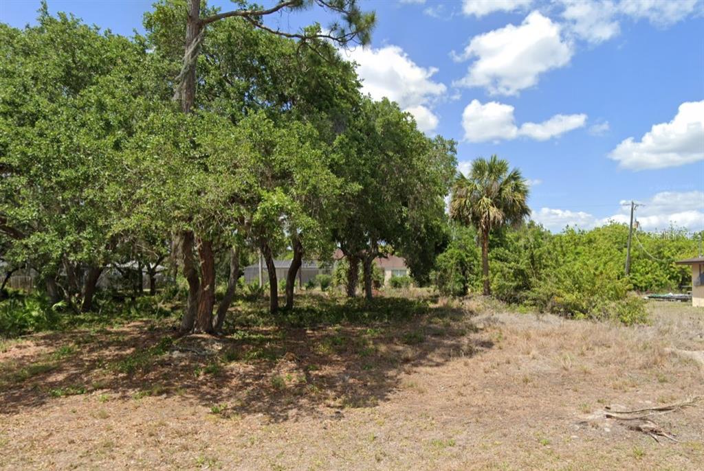 a view of backyard with green space