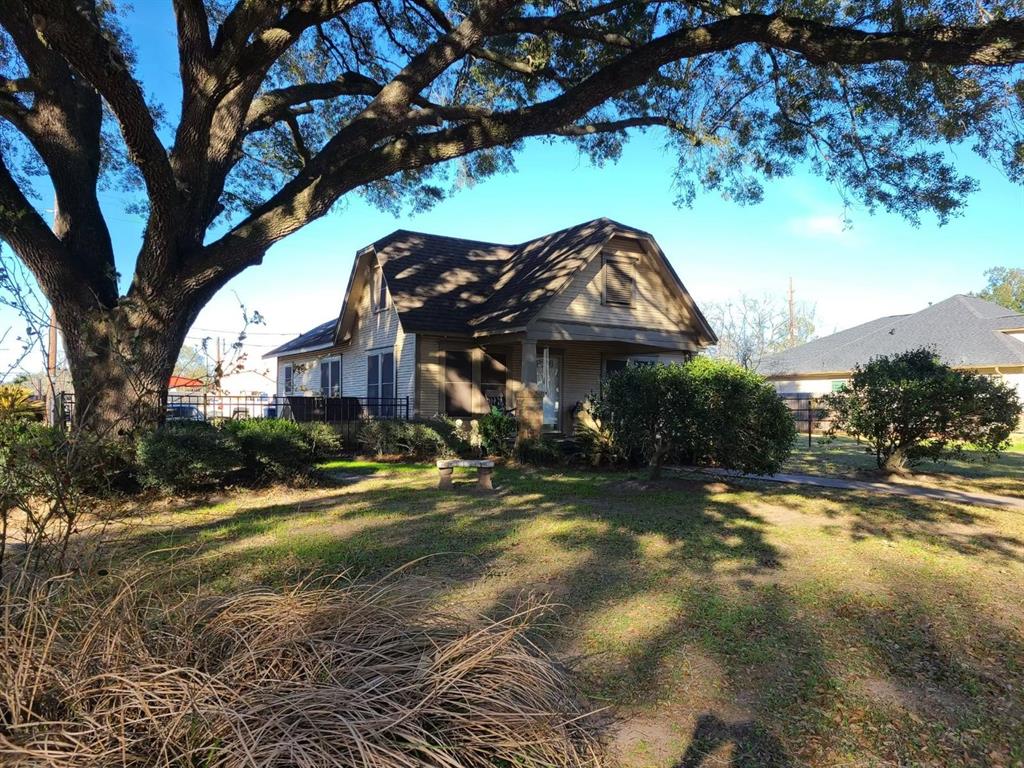 a view of a large trees with a small yard