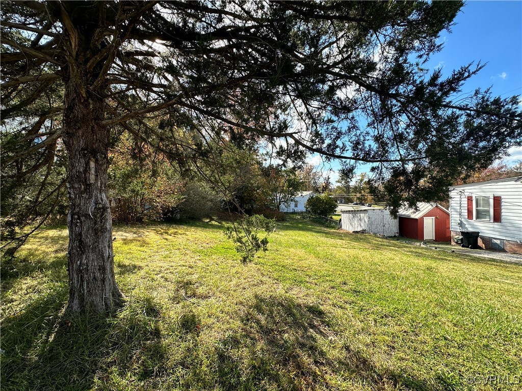 a view of a yard with a tree