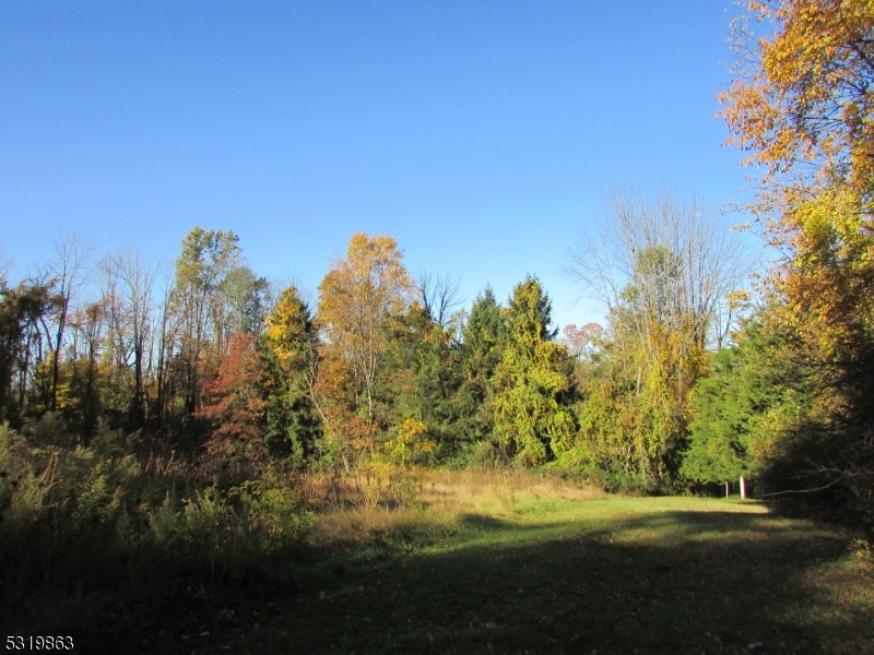 a view of a field with trees in background