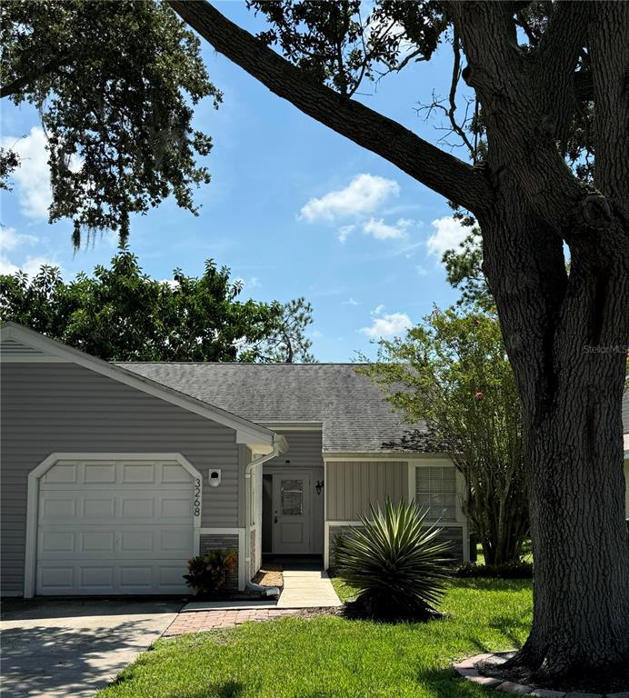 a view of a porch in front of a house with a large tree