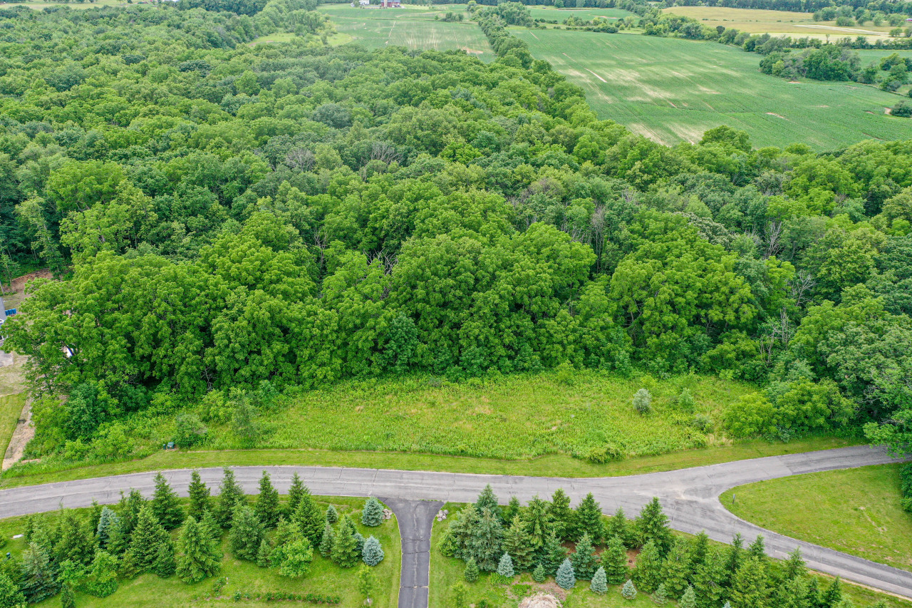 Scenic Conservancy Lot