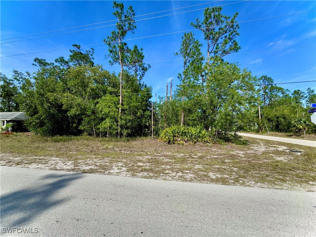 a view of a yard with a tree