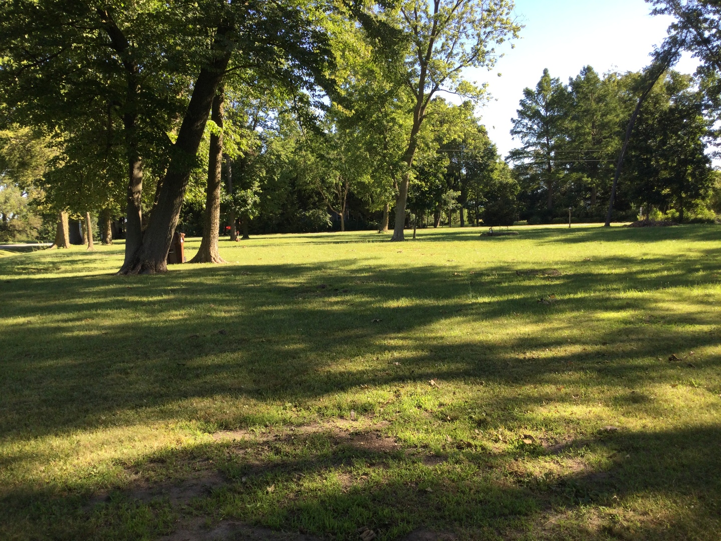 a view of a swimming pool with a yard and trees