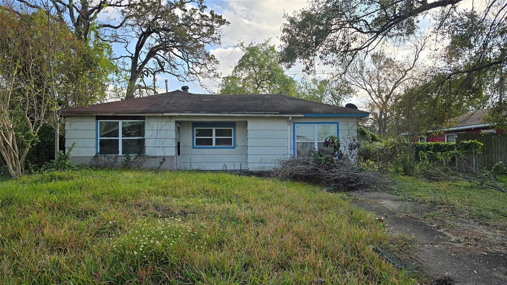 a backyard of a house with plants and large tree