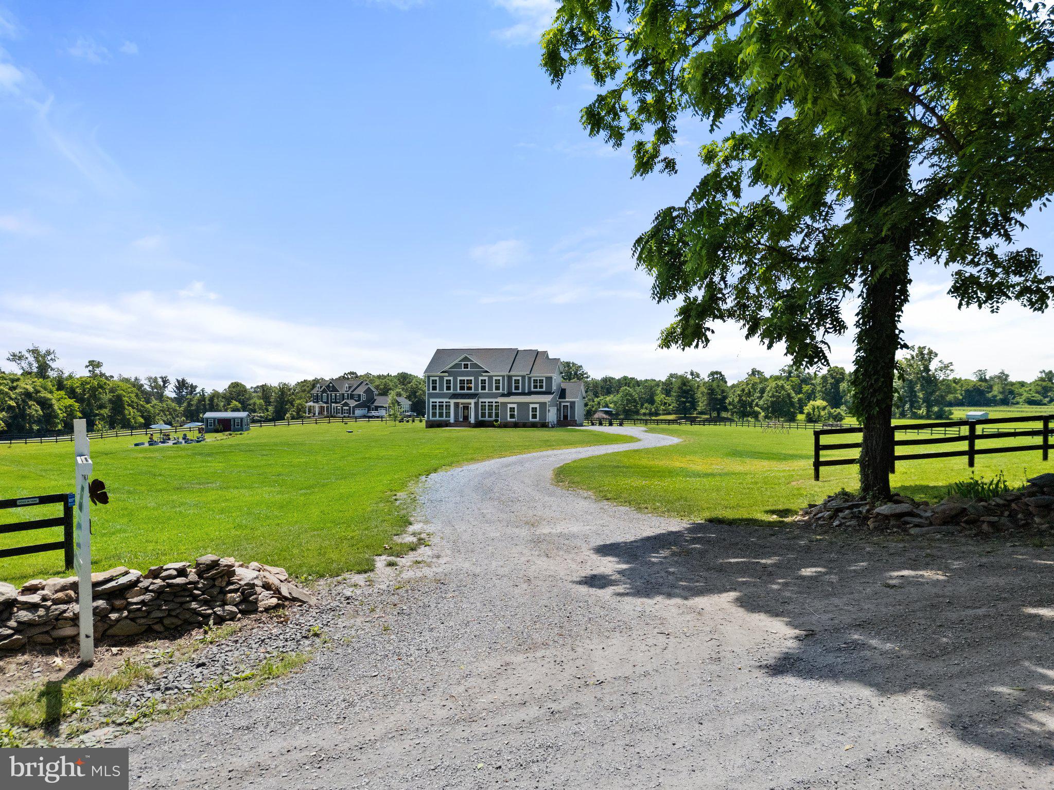 a view of a park with large trees