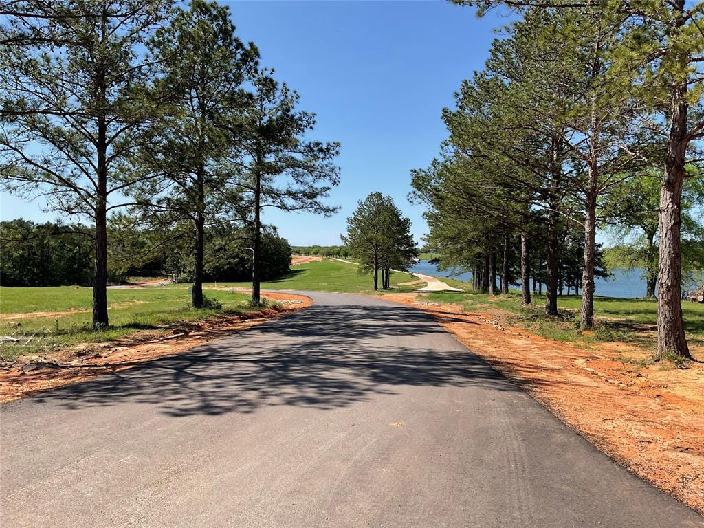 This photo shows a serene, tree-lined road leading toward a picturesque lake view, offering a peaceful and scenic setting ideal for a home.