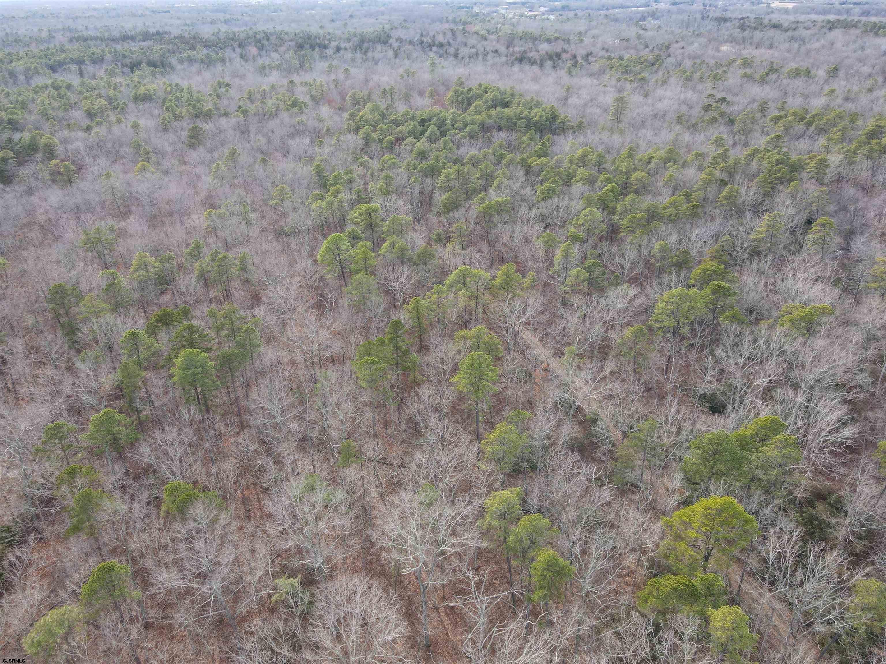 a view of a dry field