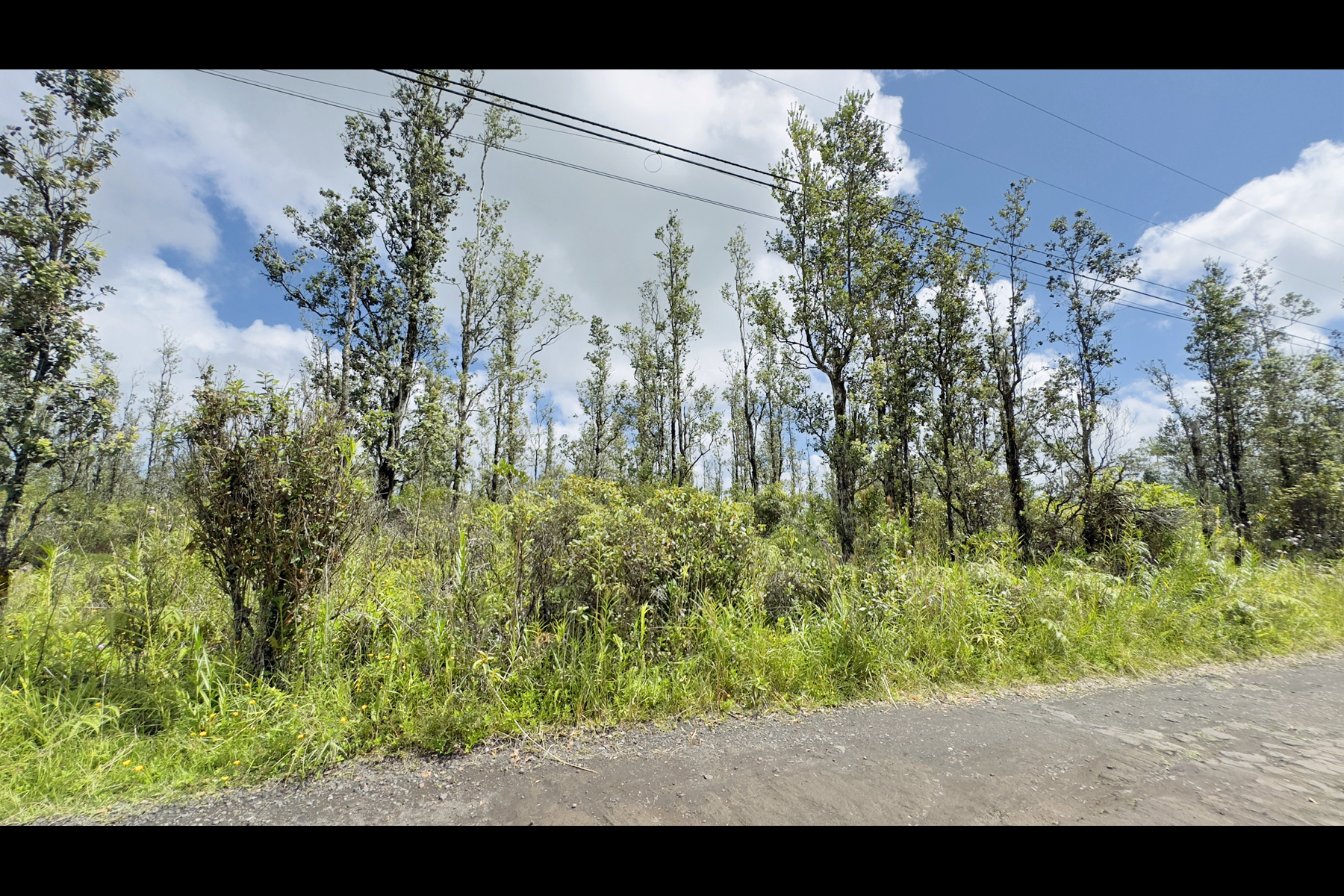 Lot 5066 on Moho Road in Hawaiian Acres.