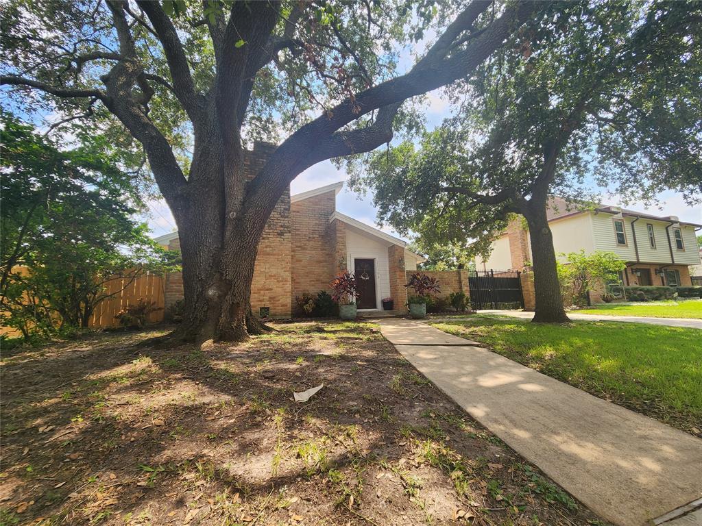 a view of a yard with a tree