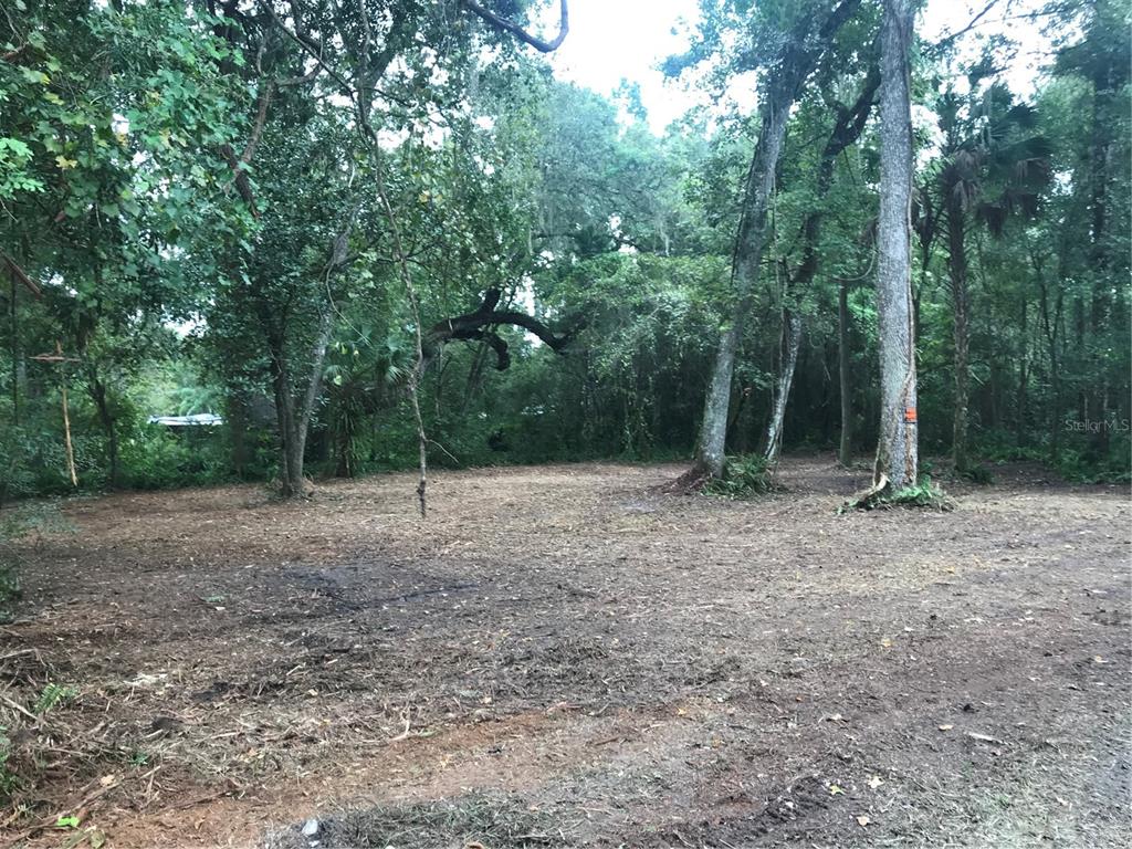 a view of outdoor space with trees