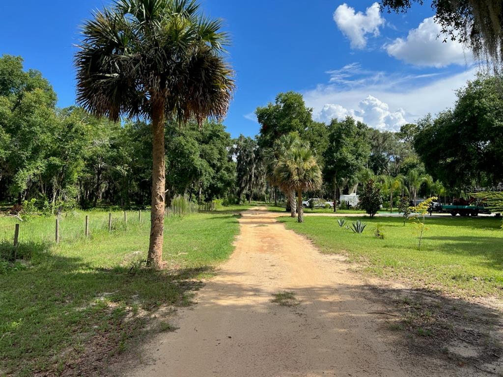 a view of a park