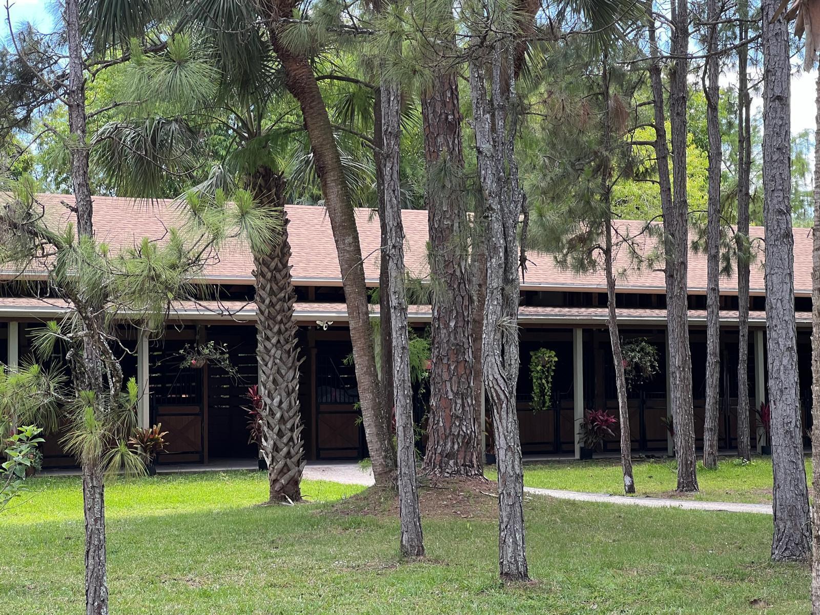 a view of a house with a yard and plants