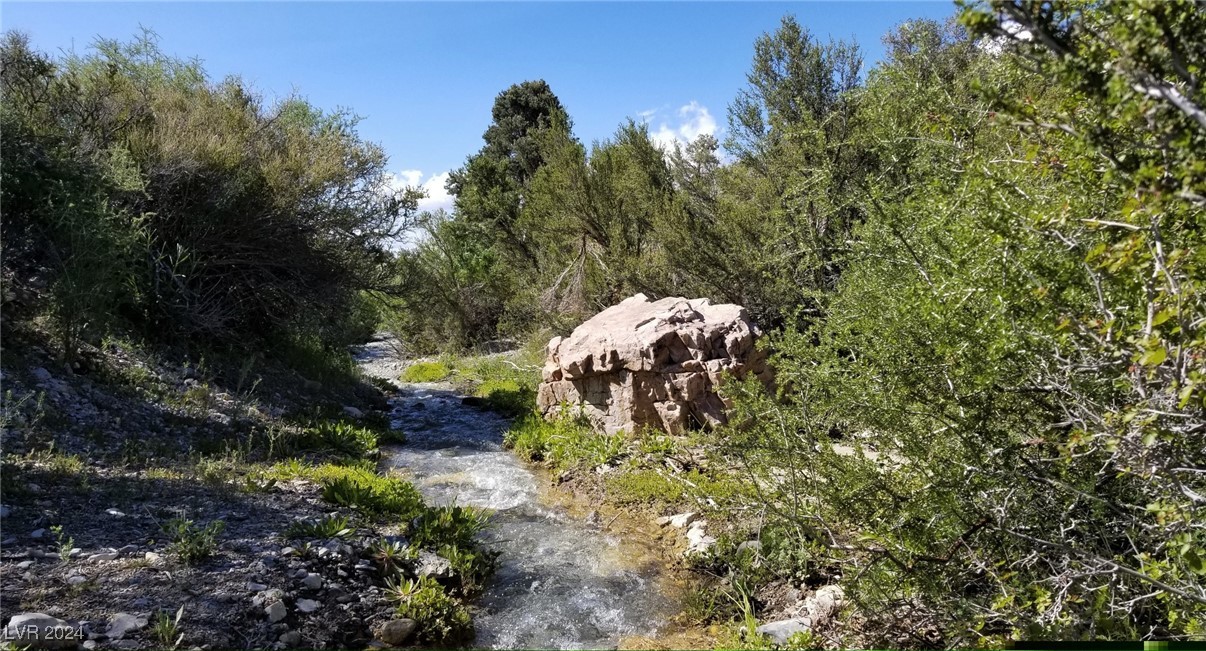 Year-Round Running Creek