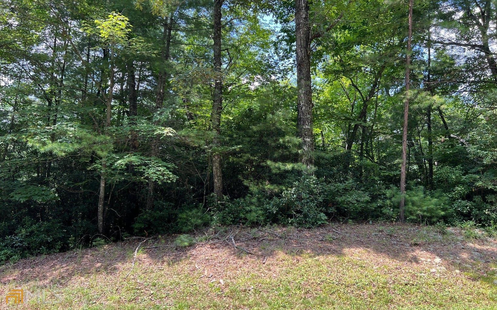 a view of backyard with green space