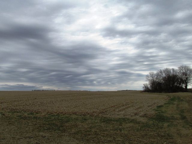 $460,000 | 0 Butternut Road | Pine Creek Township - Ogle County