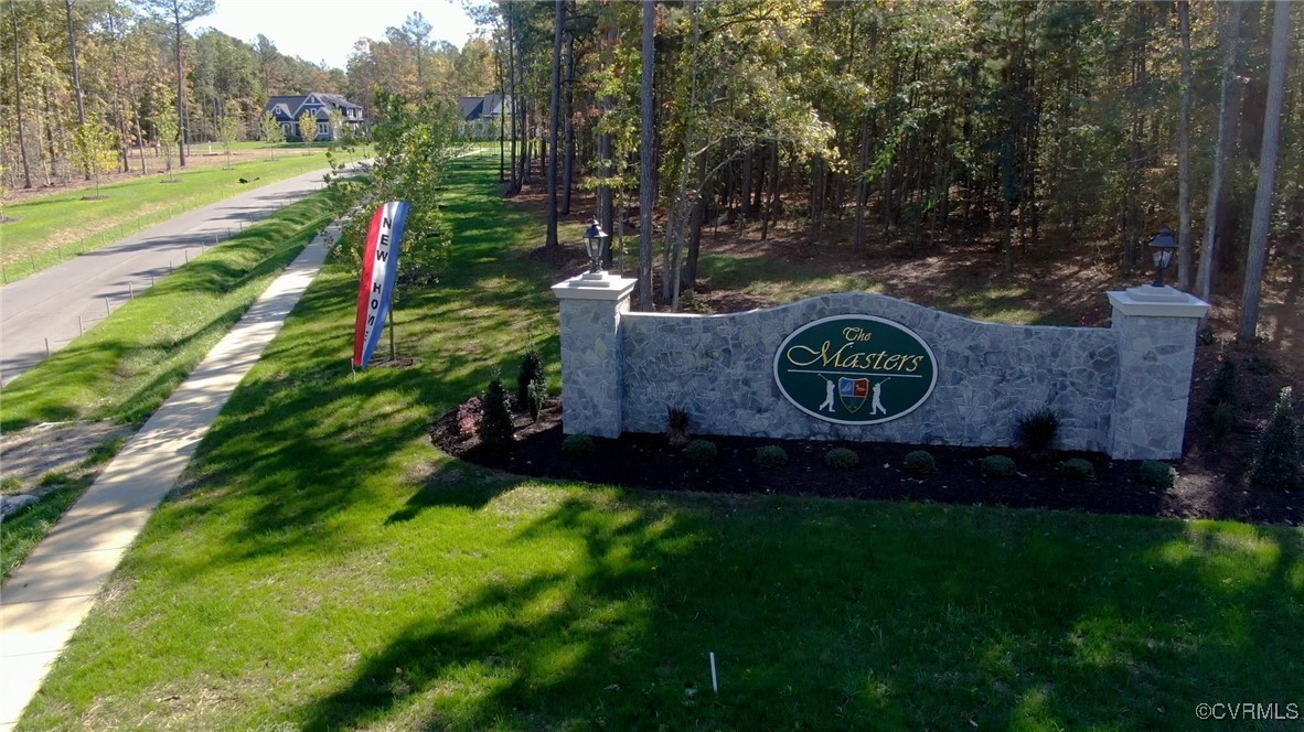 a view of a park with large trees