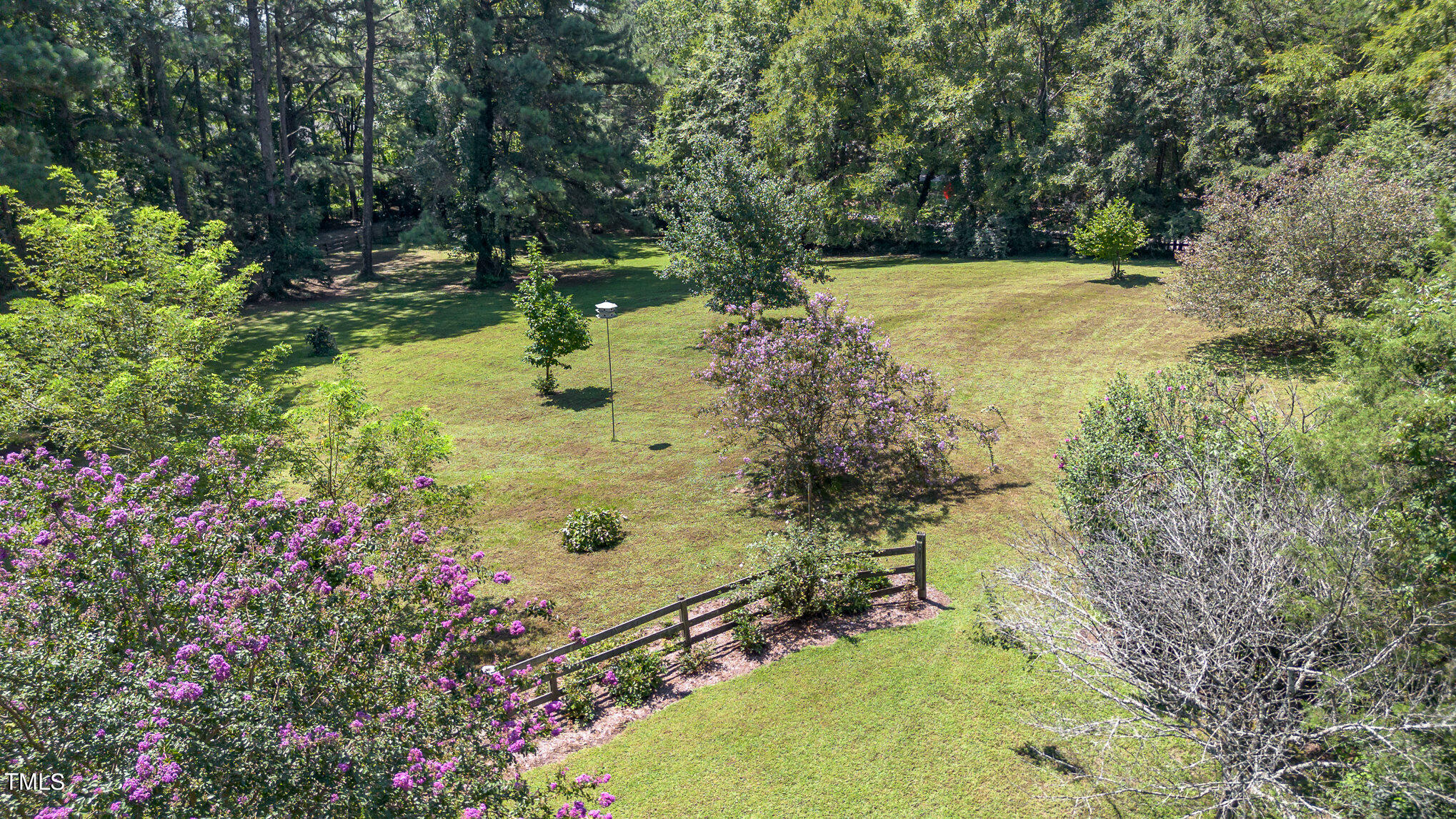 a view of a yard with large trees