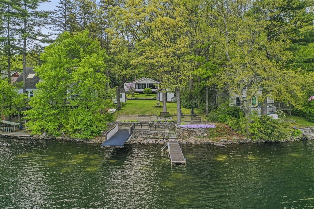 a view of a trees in a yard