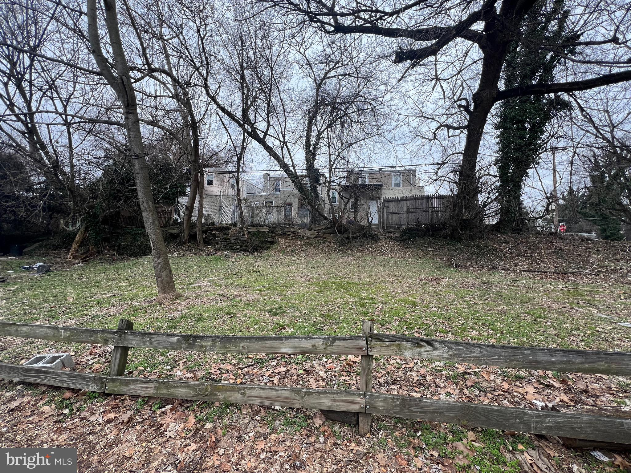 a view of a yard with trees