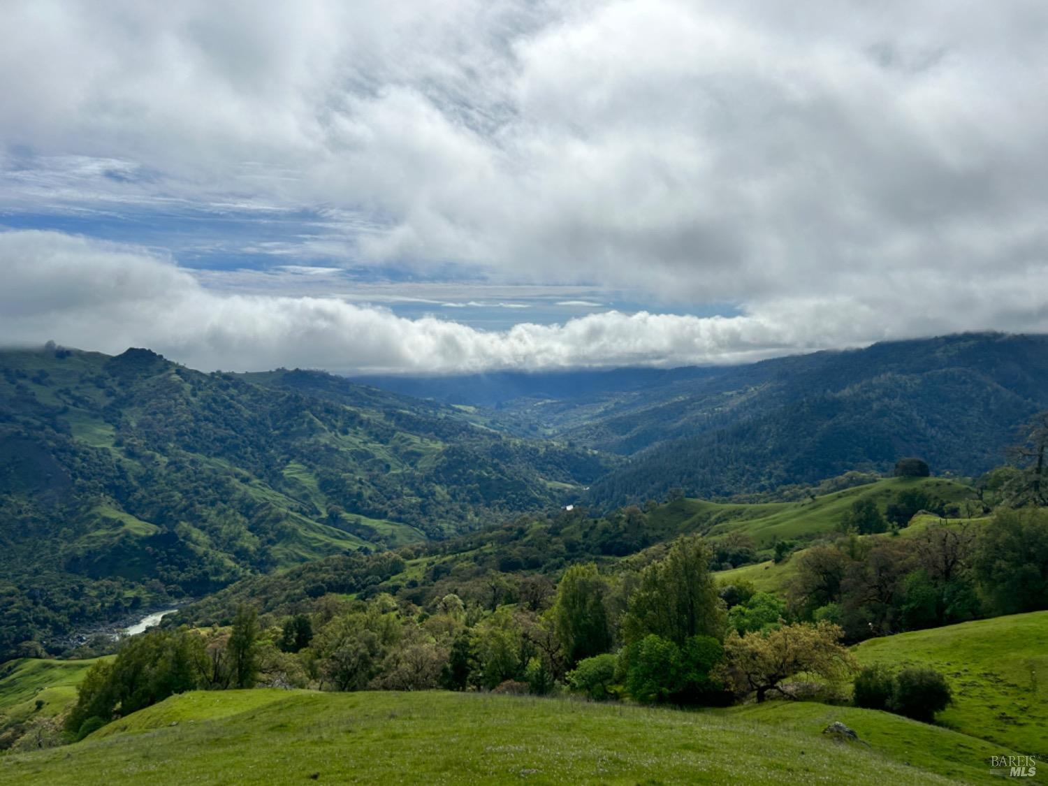 a view of a city with lush green forest