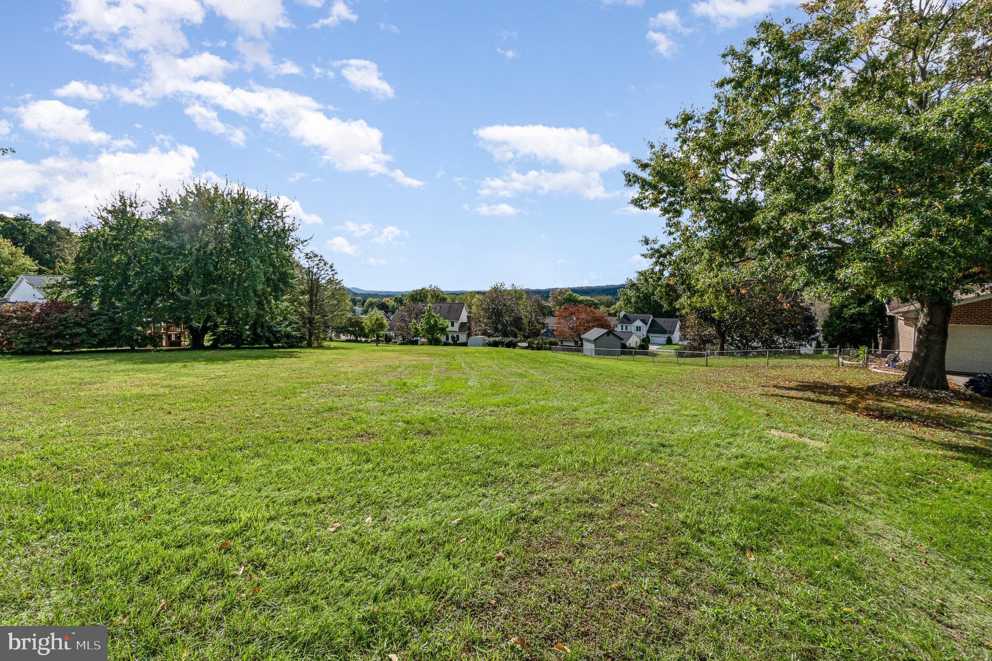 a view of yard with green space