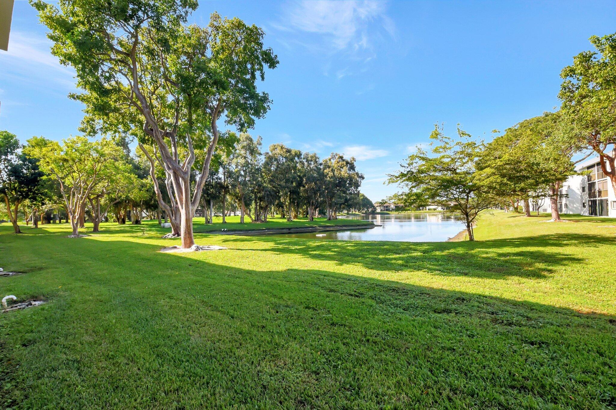 a view of a park with large trees