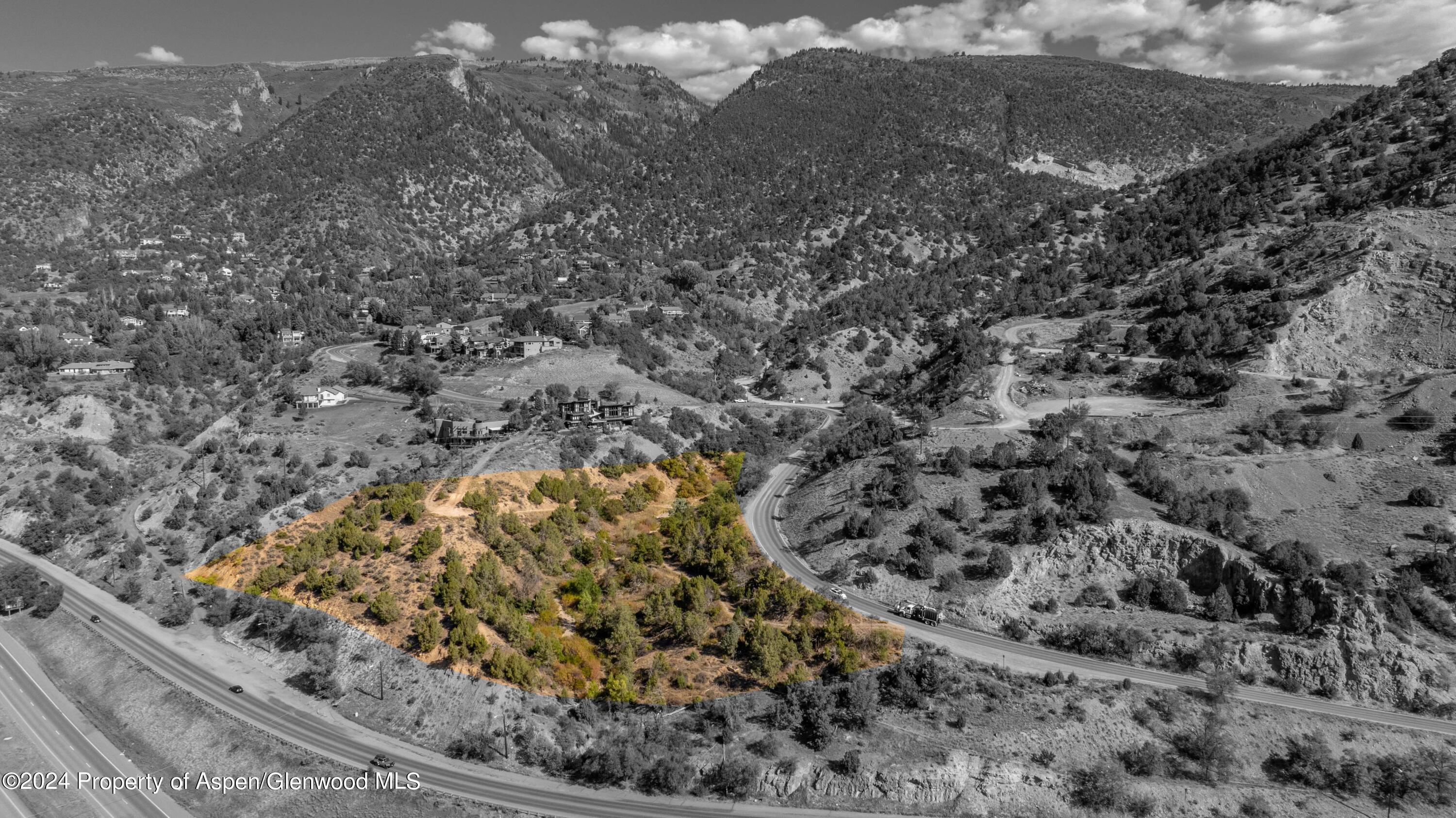 a view of a forest