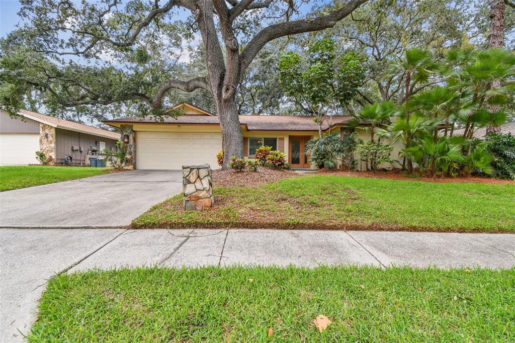 a front view of a house with a yard and trees