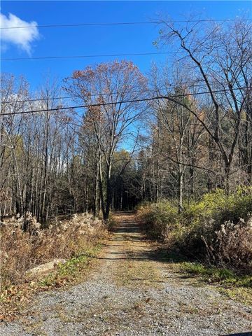 $69,900 | 0 Carney Hollow Road | Springwater