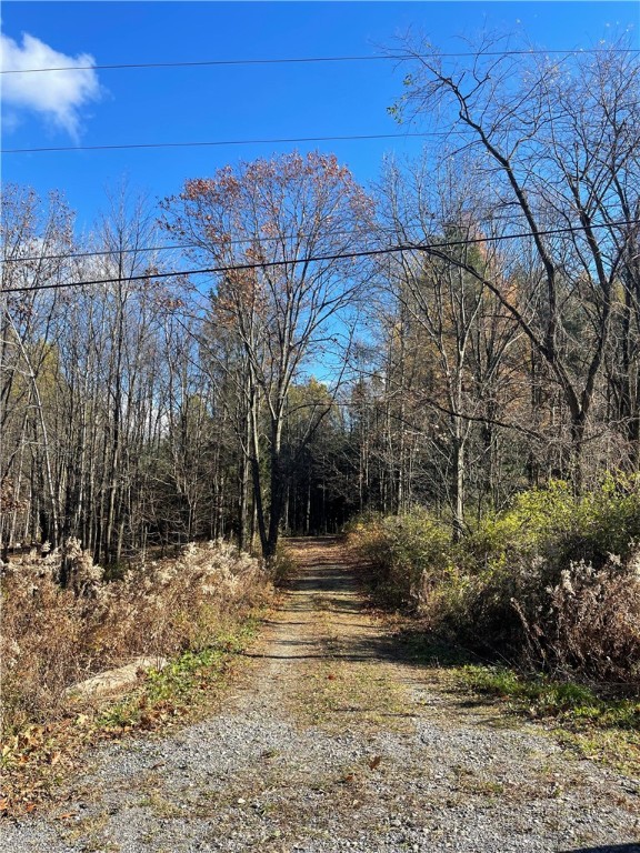 Gravel/stone driveway. Picture from road.