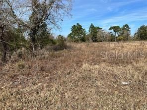 $18,000 | 115 Southeast 115th Place Road | Silver Springs Shores East