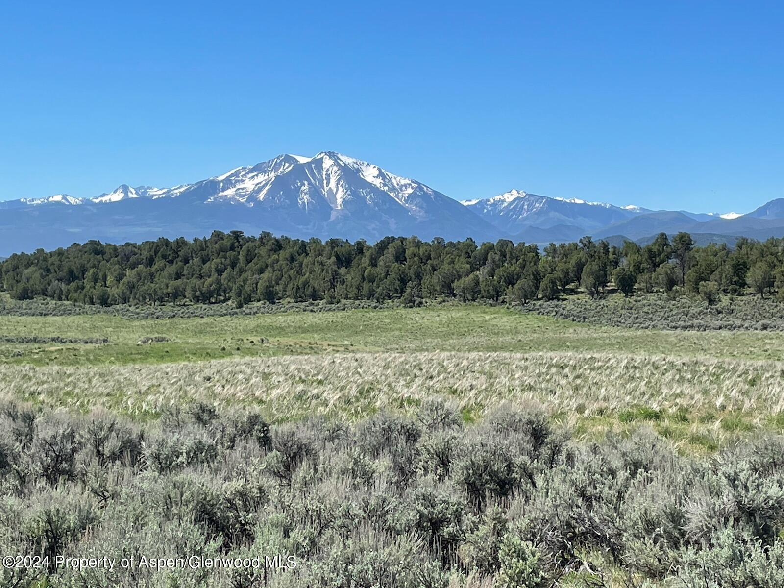 a view of a lush green outdoor space with mountain view