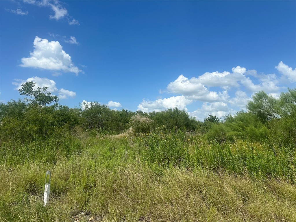 a view of a green yard