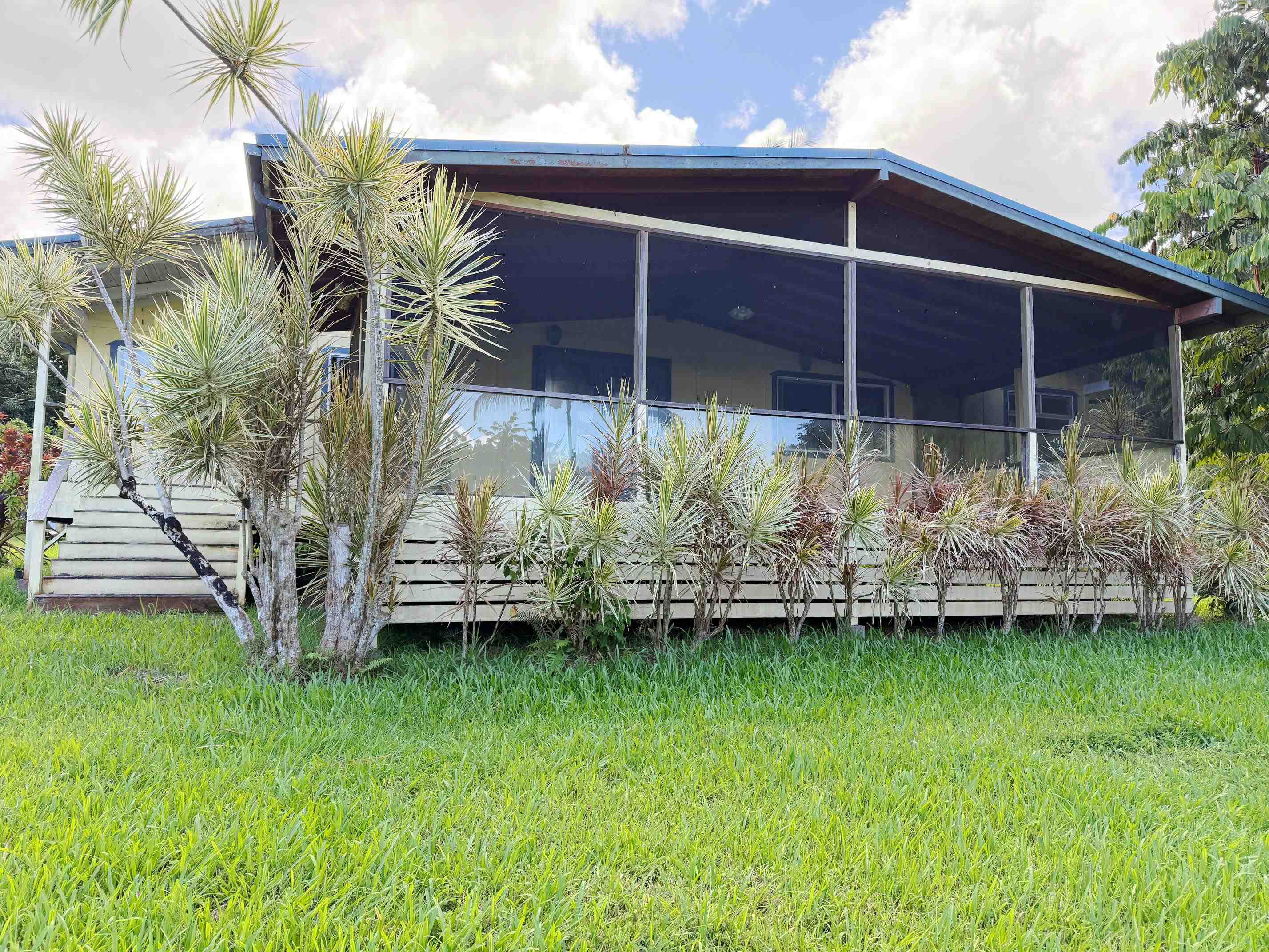 a view of a backyard with plants