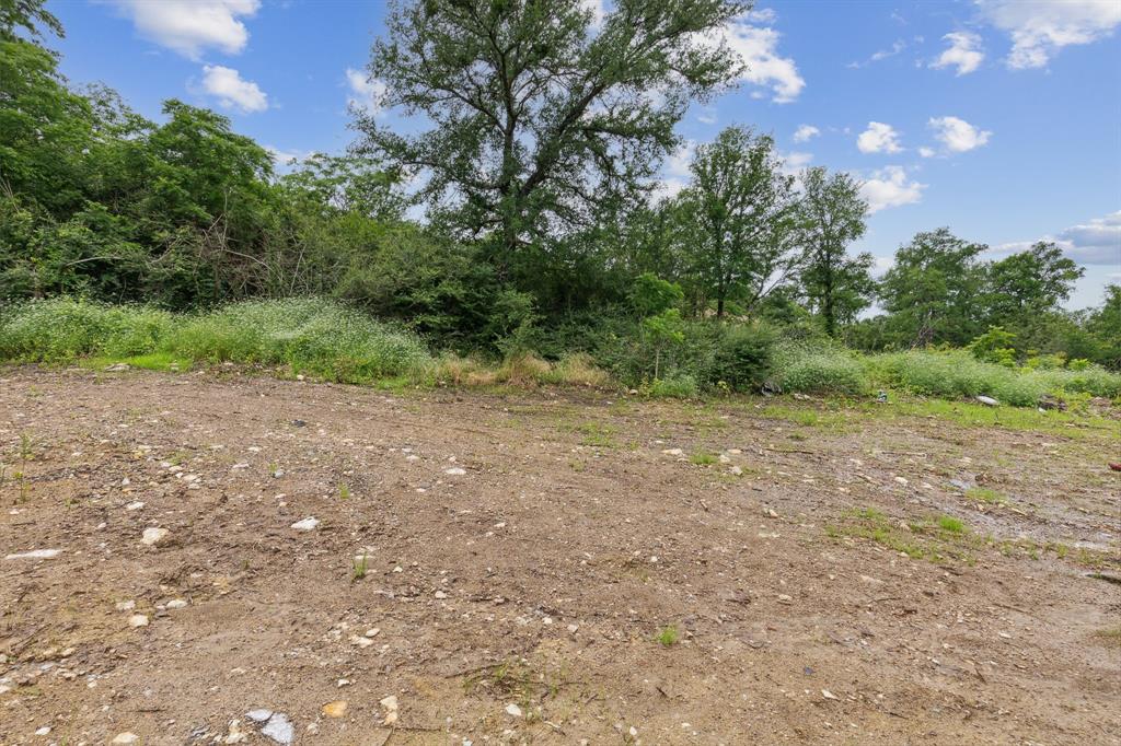 a view of a yard with a tree