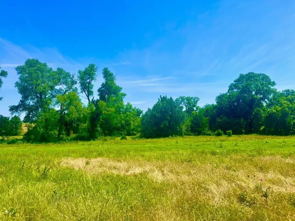 a view of a green field with trees in the background