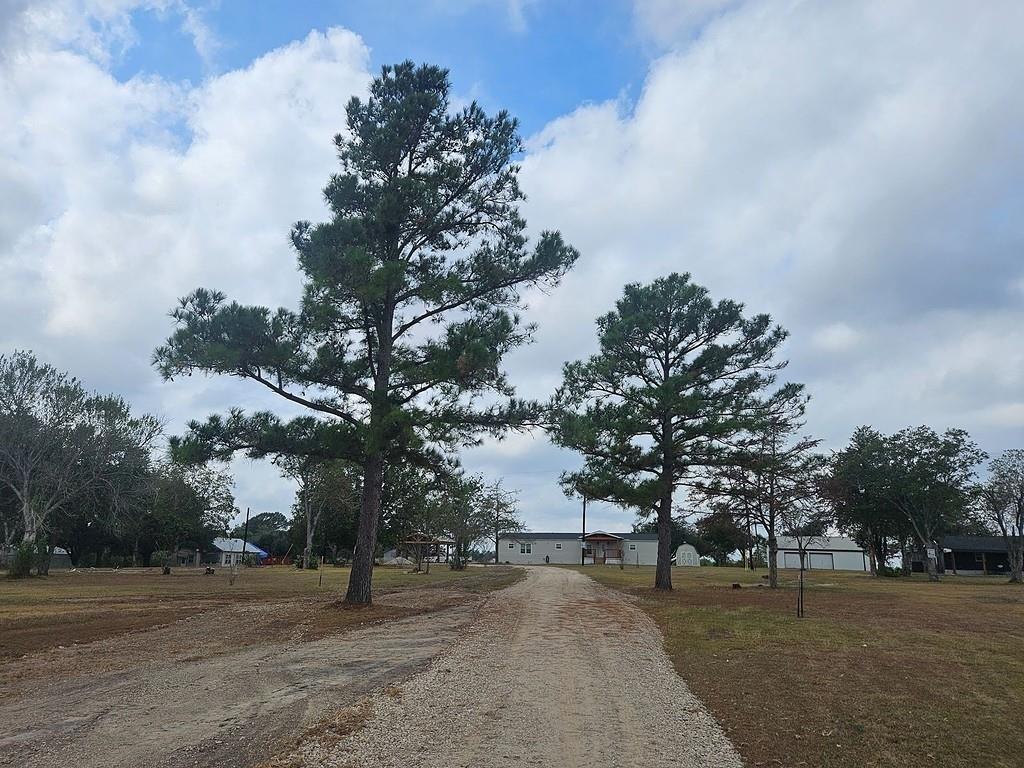 a big yard with trees in the background