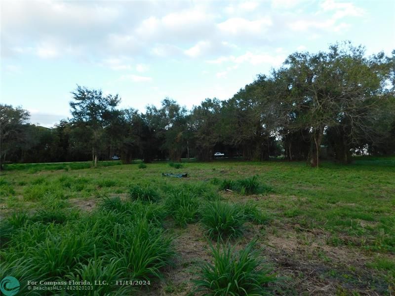 a view of yard with green space