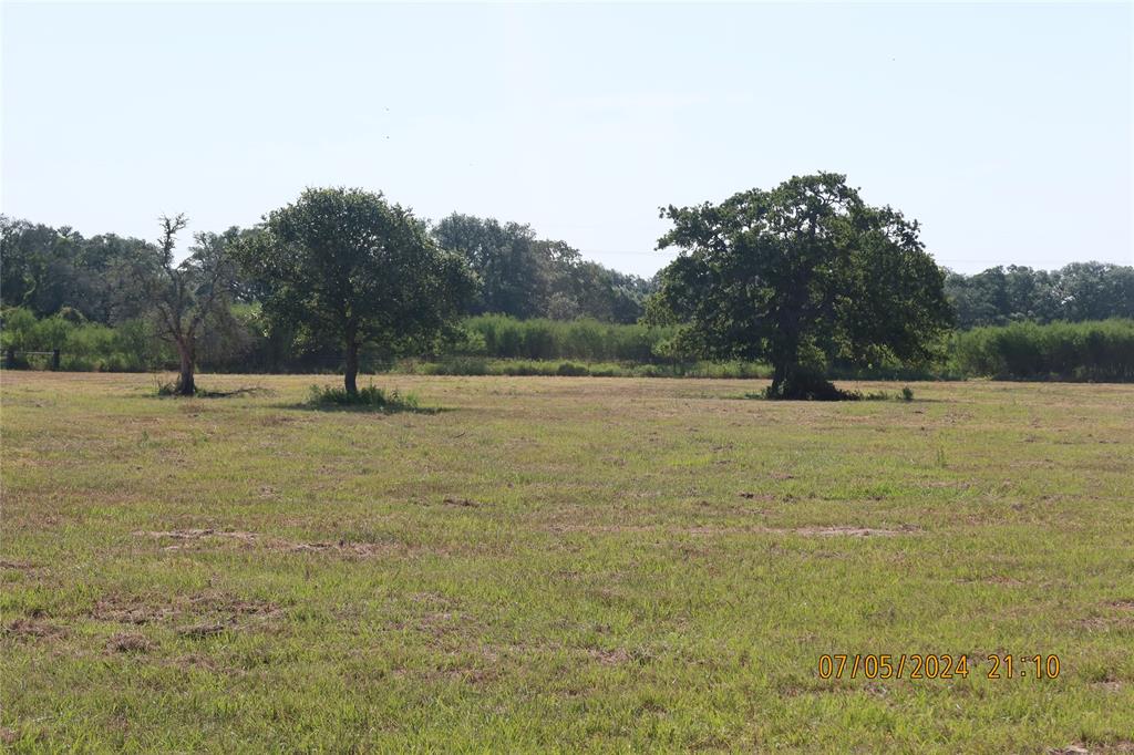 a view of outdoor space with trees