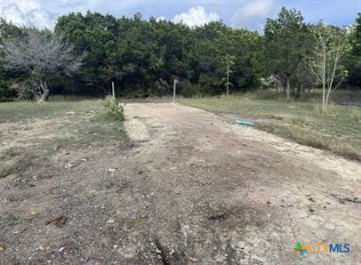 a view of backyard with green space