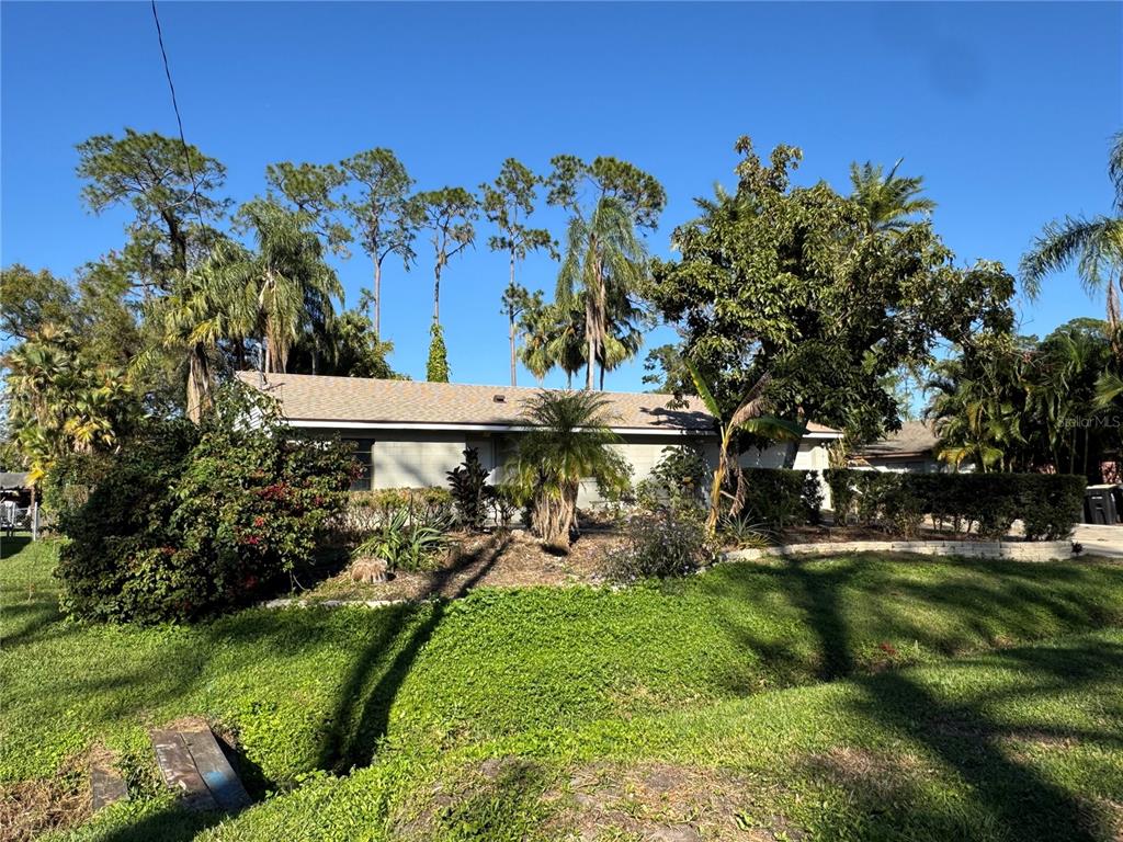 a view of a backyard with plants