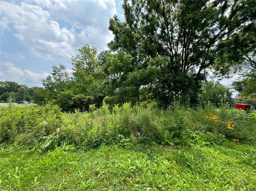 a view of a lush green space