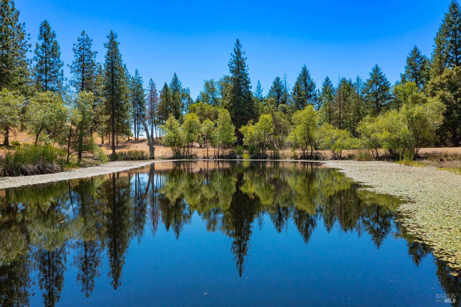 a view of lake