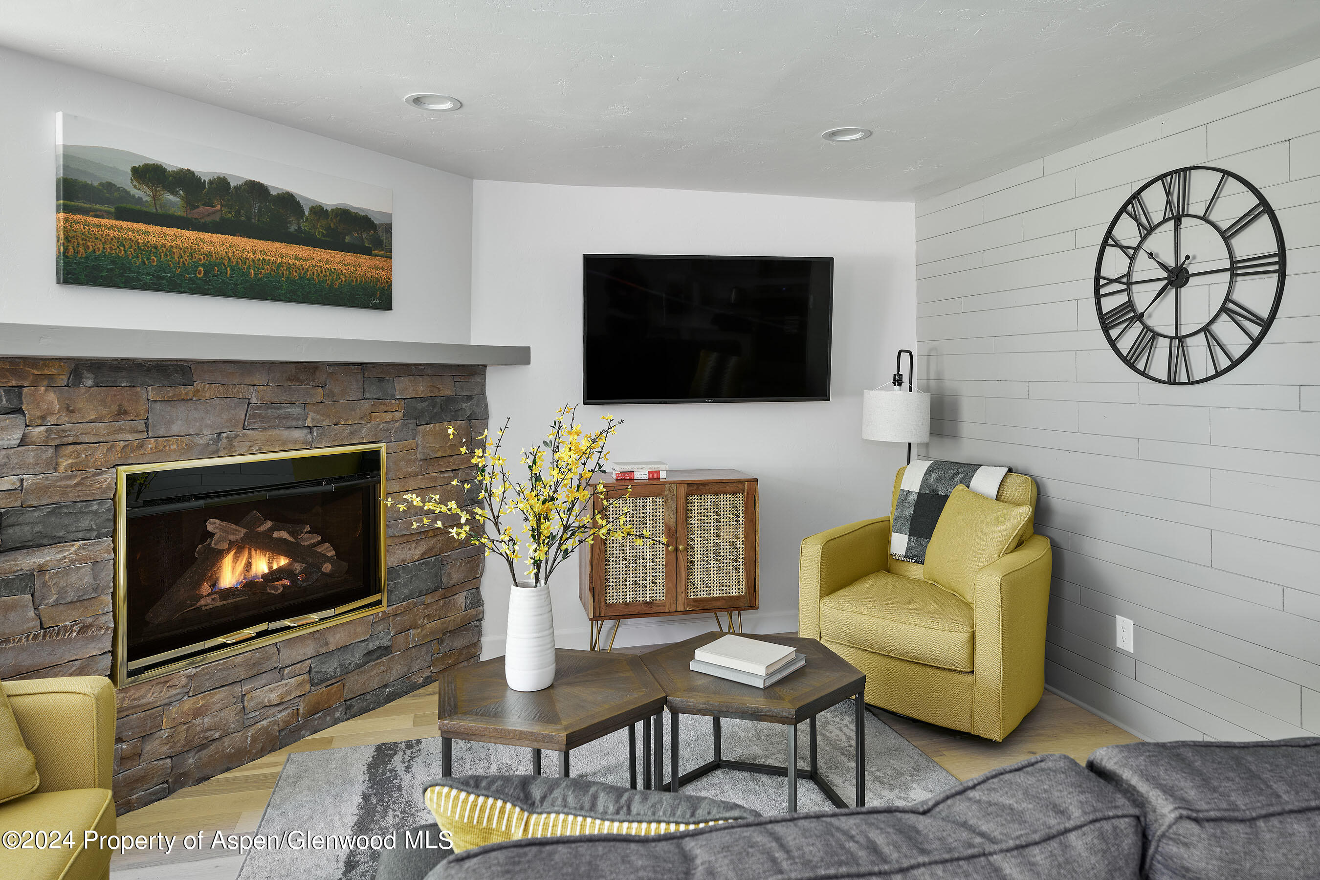 a living room with furniture a flat screen tv and a fireplace