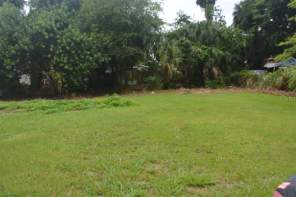 a backyard of a house with lots of green space