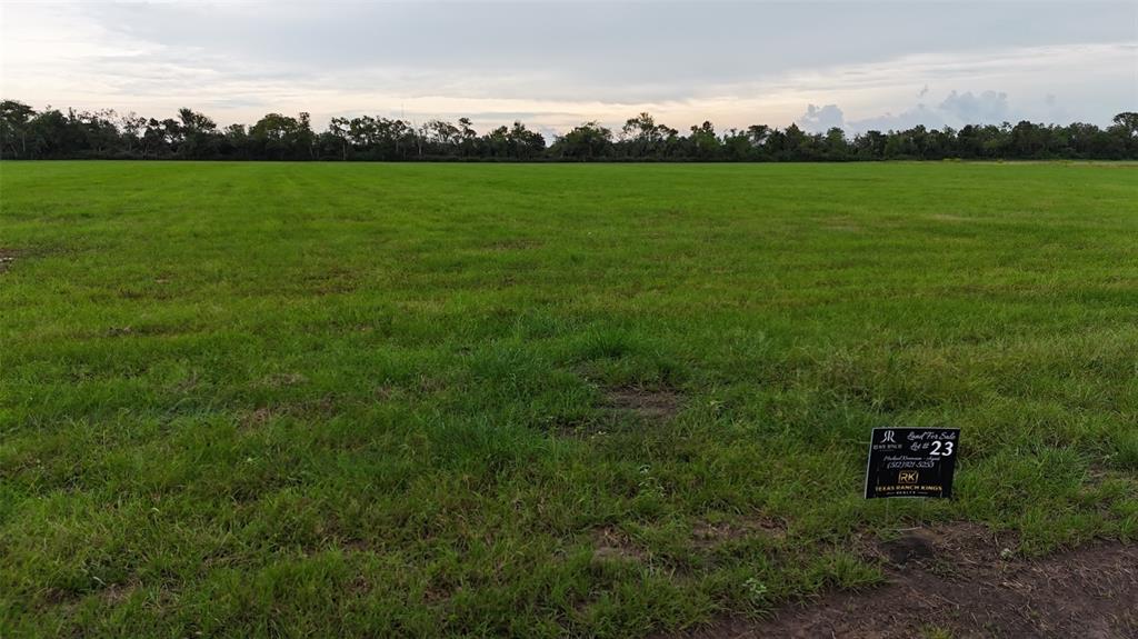 a view of a field with an trees