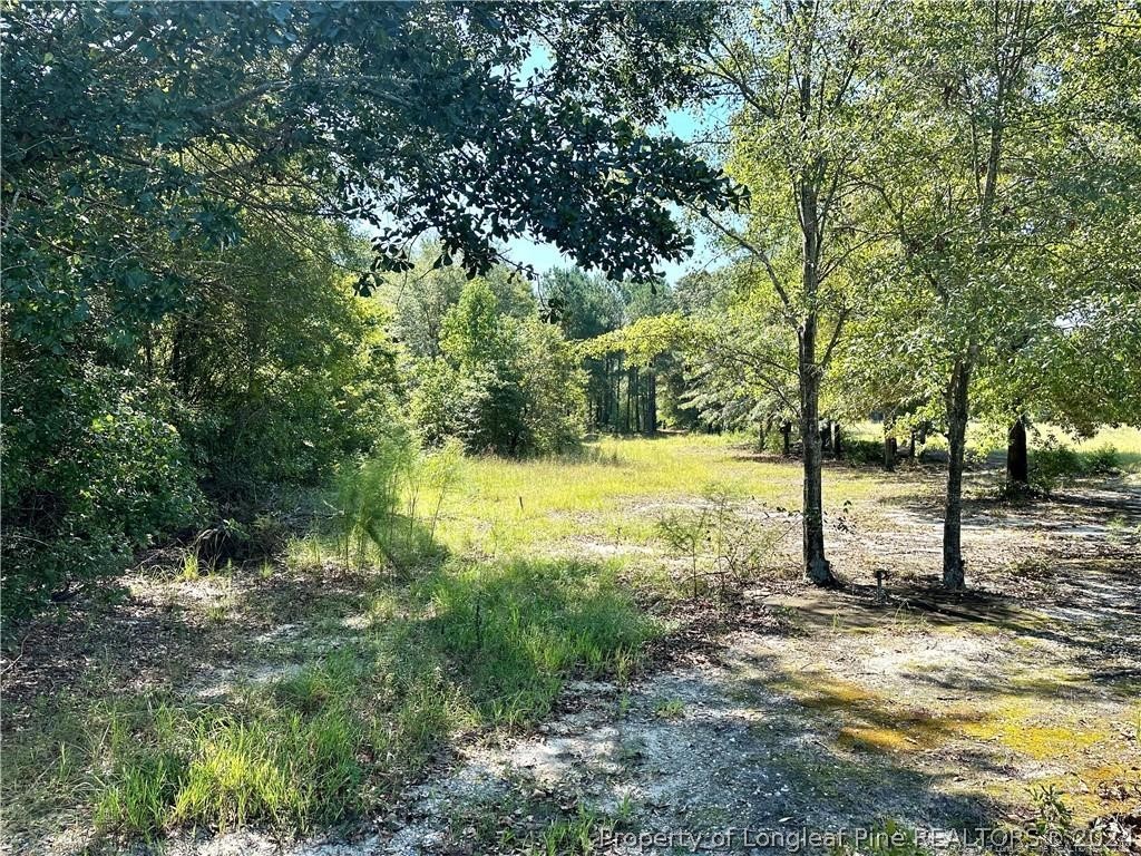 a view of a yard with trees