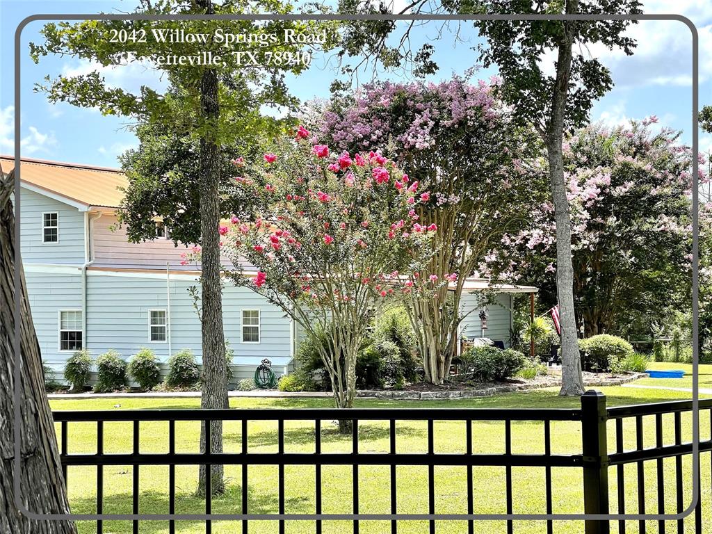 a view of a garden